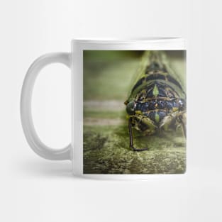 Canadian Cicada Mug